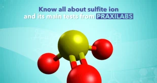 Know All About Sulfite Ion and Its Main Tests From PraxiLabs