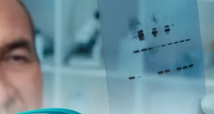 how to analyze western blot data