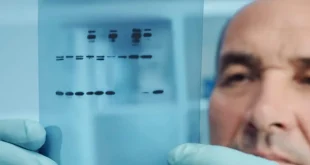 The Concept, Processes, and Applications of Western Blotting