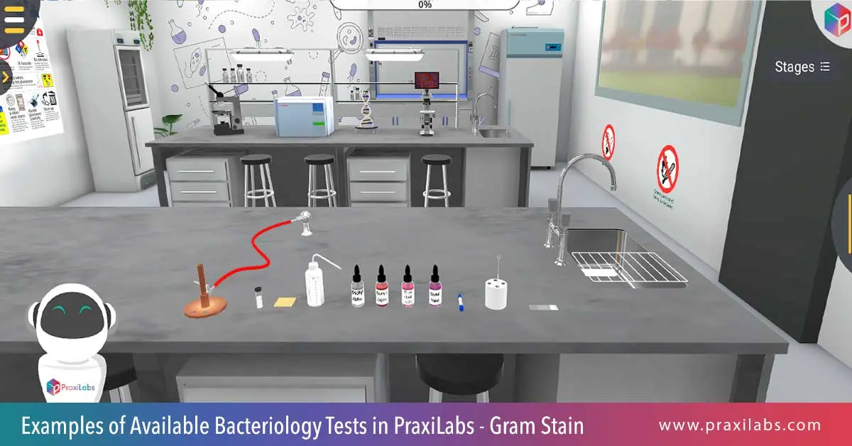 Examples of available bacteriology tests in Praxilabs - gram stain 