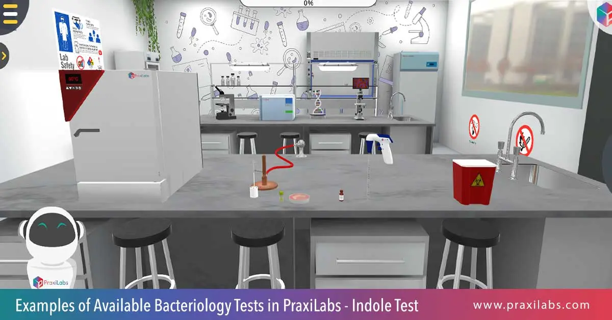 Examples of available bacteriology tests in Praxilabs - indole test 