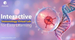 Interactive Immunology Virtual Lab for Easy Learning