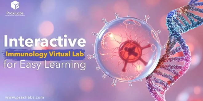Immunology Virtual Lab