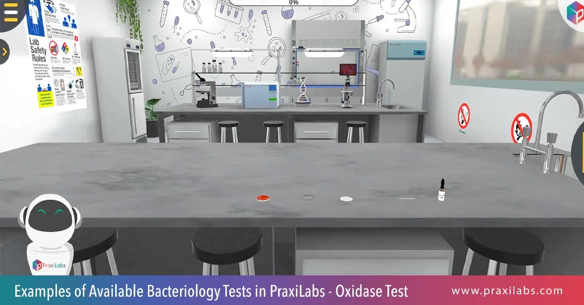 Examples of available bacteriology tests in Praxilabs -Oxidase test