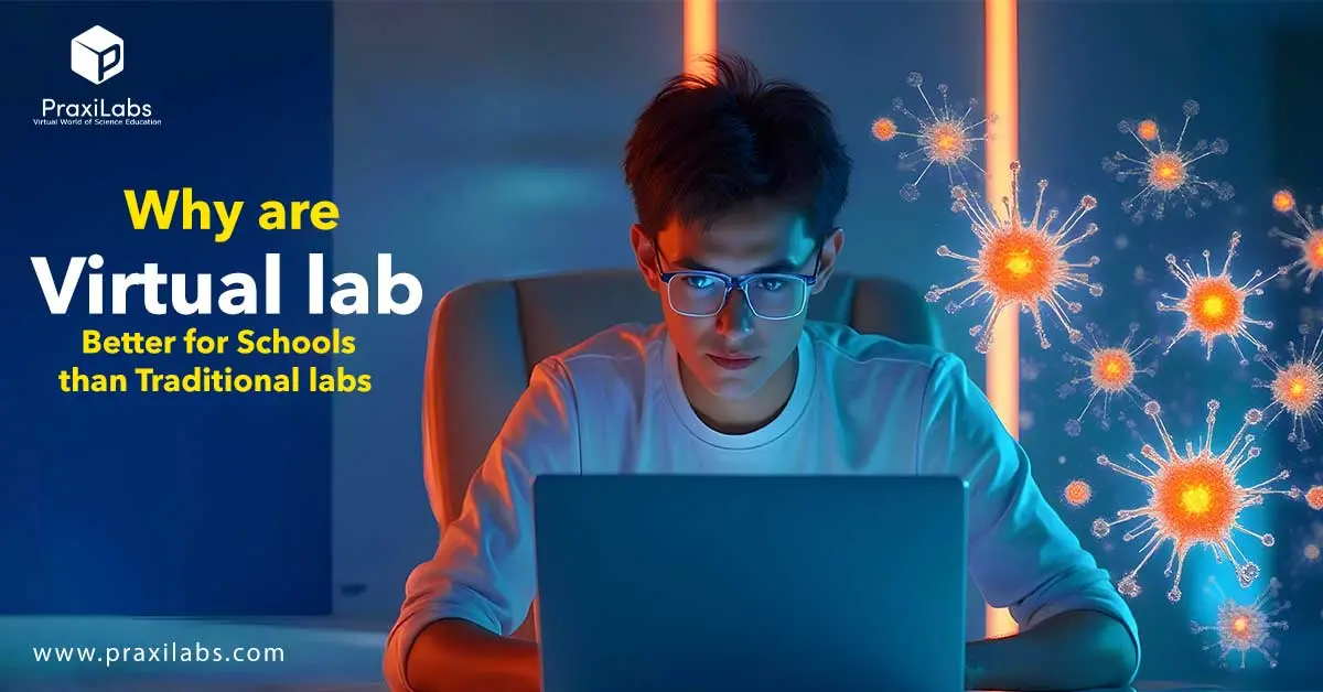 Why are virtual labs better for schools than Traditional labs?