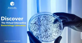 Discover the Virtual Interactive Bacteriology Laboratory
