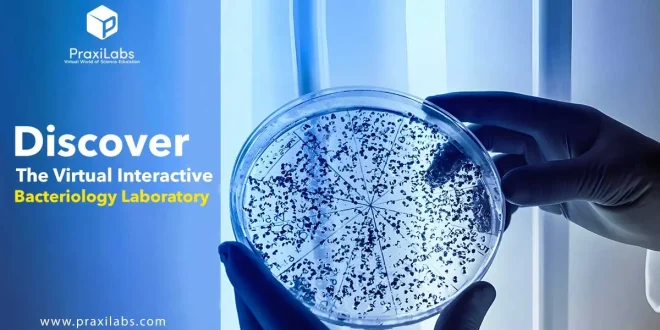 Discover the Virtual Interactive Bacteriology Laboratory