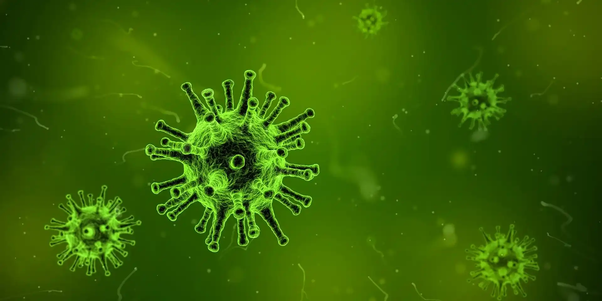 Biology of Viruses