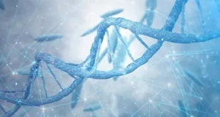 dna extraction virtual lab