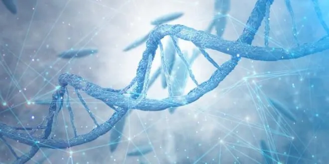 dna extraction virtual lab