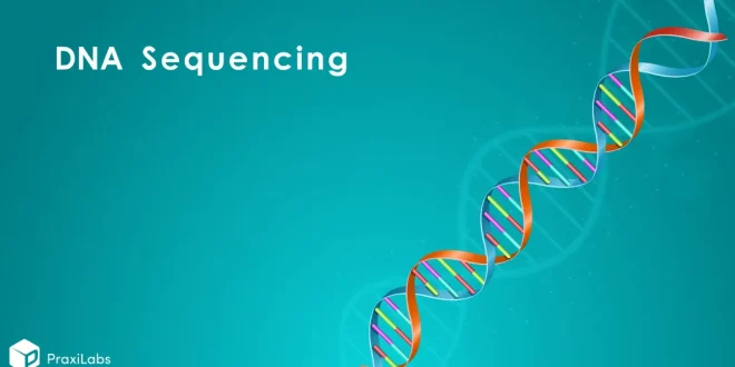 DNA Sequencing