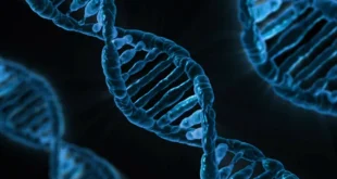 Data in DNA