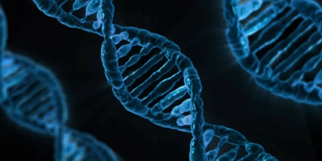 Data in DNA
