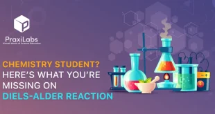 Here’s What You’re Looking For in Diels Alder Reaction