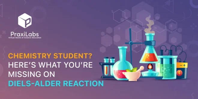 Here’s What You’re Looking For in Diels Alder Reaction
