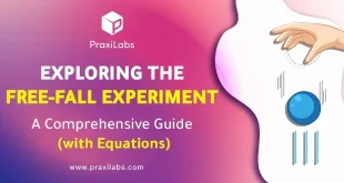 Exploring the Free Fall Experiment