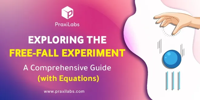 Exploring the Free Fall Experiment