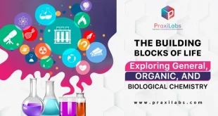 The Building Blocks of Life: Exploring General, Organic, and Biological Chemistry
