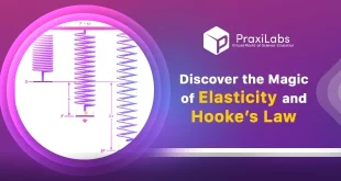 Hooke's law and Elasticity