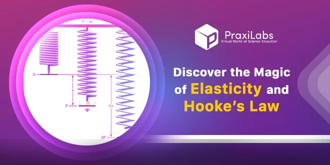 Hooke's law and Elasticity
