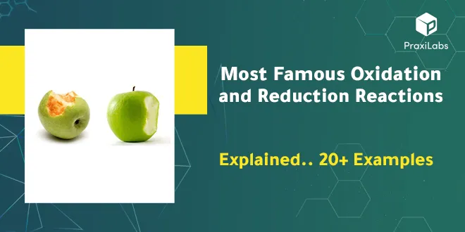 know all about oxidation and reduction reactions with examples