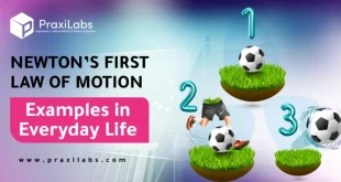 newton's first law of motion examples in everyday life