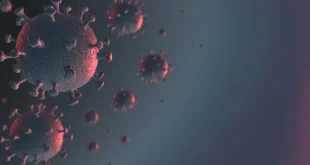 PCR Analysis