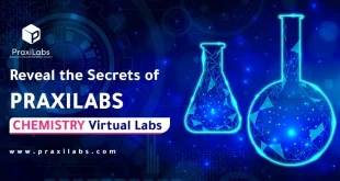 PraxiLabs Chemistry Virtual Labs