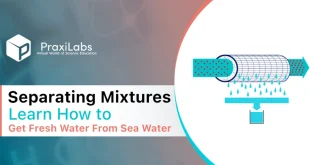 Separating Mixtures| Learn How to Get Fresh Water From Sea Water
