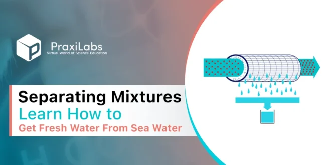 Separating Mixtures| Learn How to Get Fresh Water From Sea Water