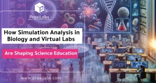 How Simulation Analysis in Biology and Virtual Labs are Shaping Science Education