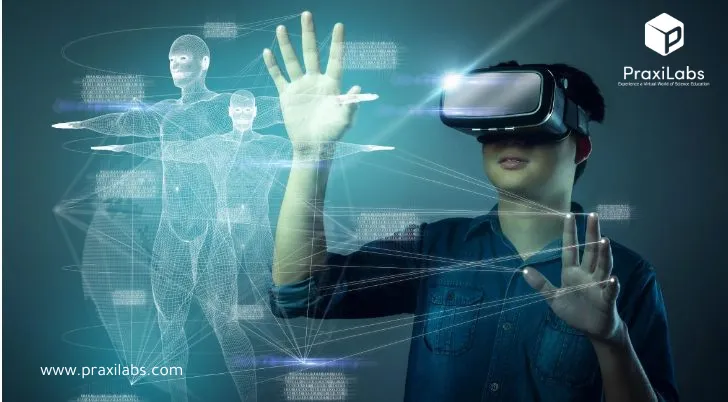 The Role of Virtual Labs in Biological Research