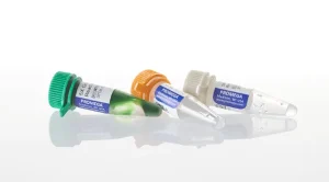 Taq Polymerase