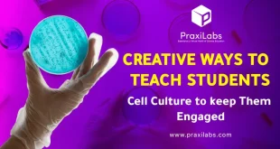 Cell Culture Basics Virtual Lab Registration