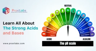 Learn All About The Strong Acids and Bases