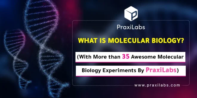 What is Molecular Biology (With +35 Molecular Biology Experiments by PraxiLabs)