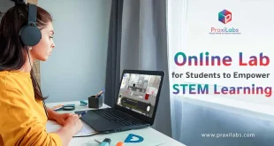 Online Lab for Students to Empower STEM Learning