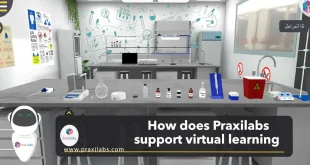 virtual learning environment