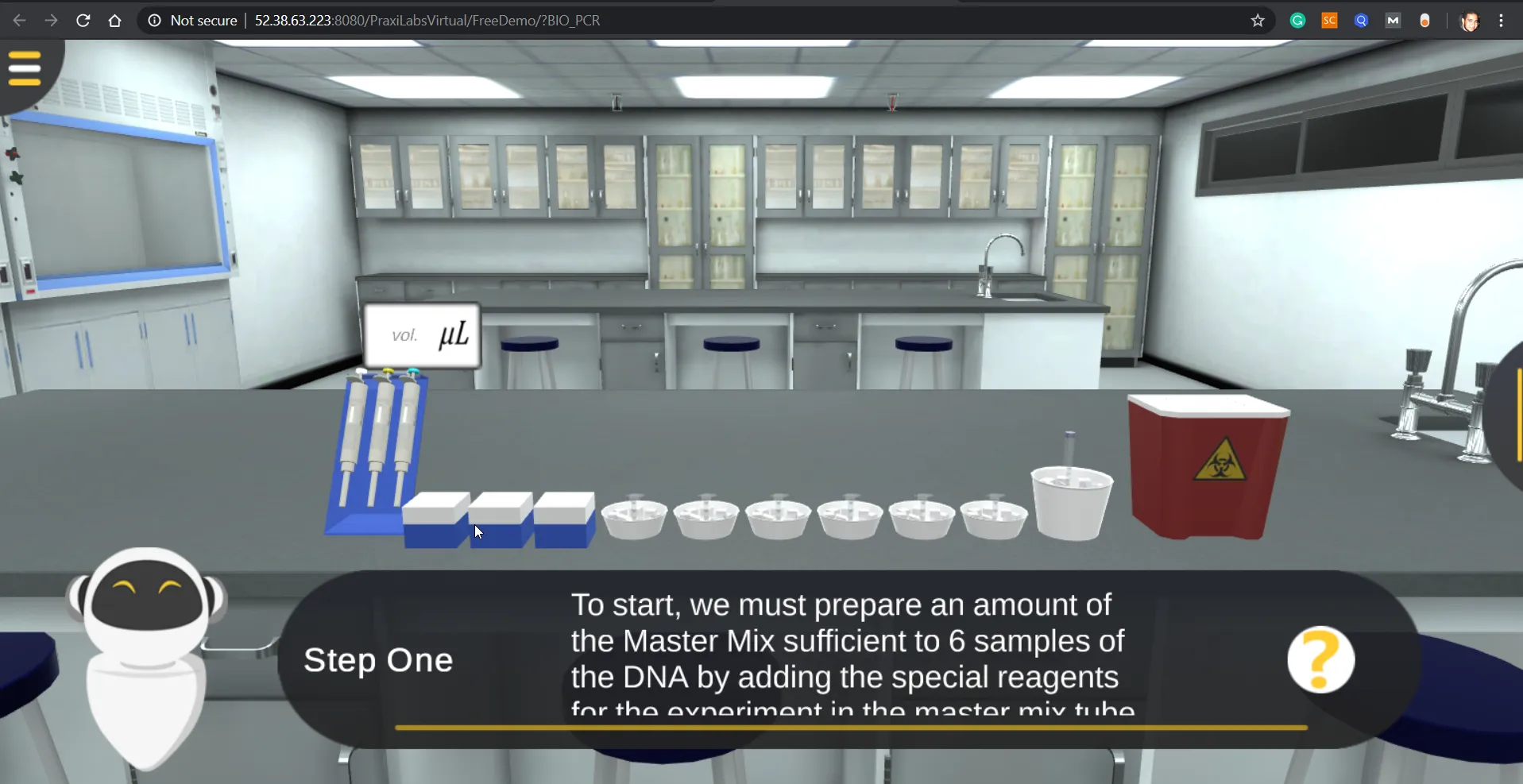 PCR Analysis