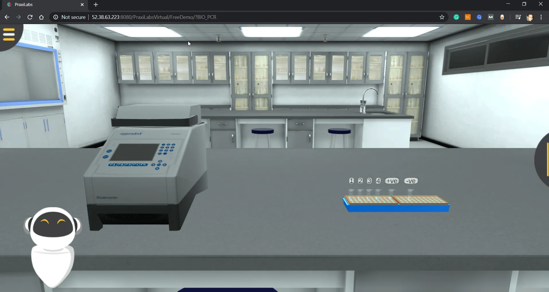 PCR Analysis