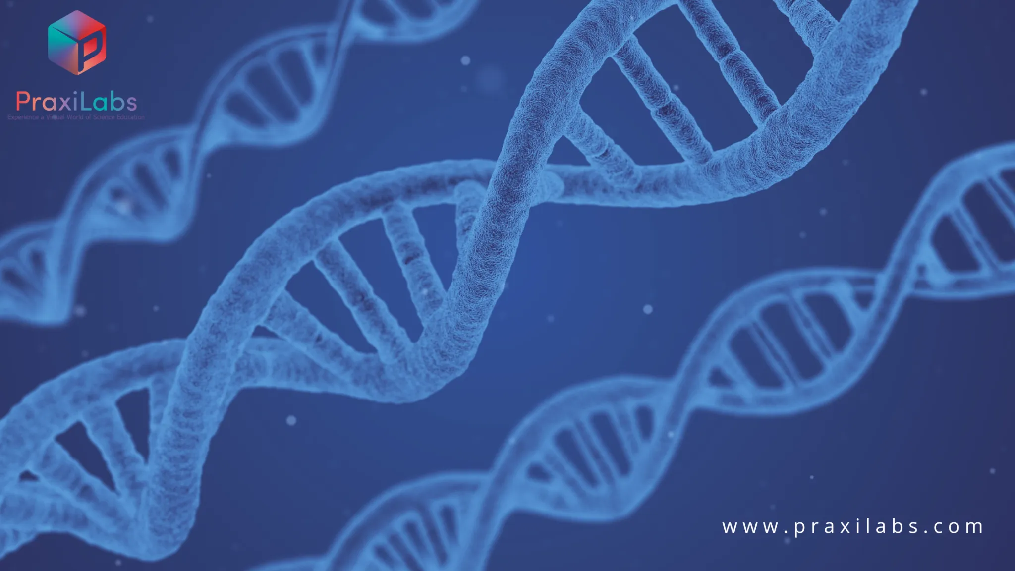 How can we use virtual labs for teaching biology?