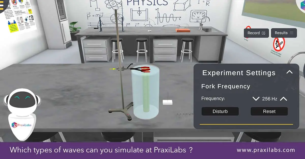 Which types of waves can you simulate at PraxiLabs?