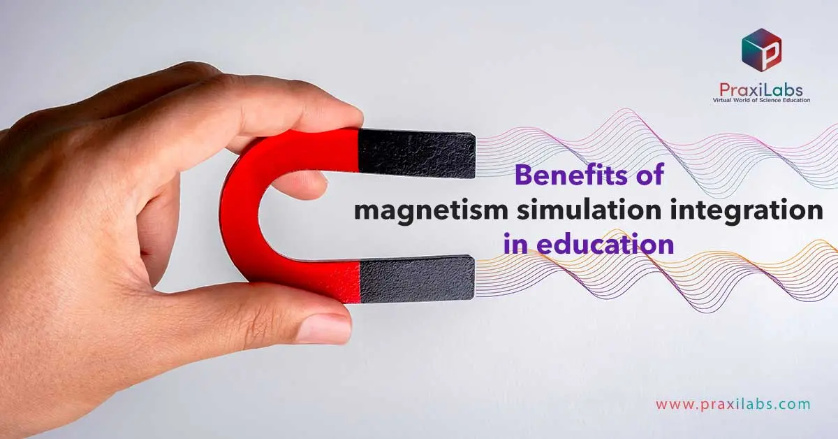 Benefits of magnetism simulation integration in education
