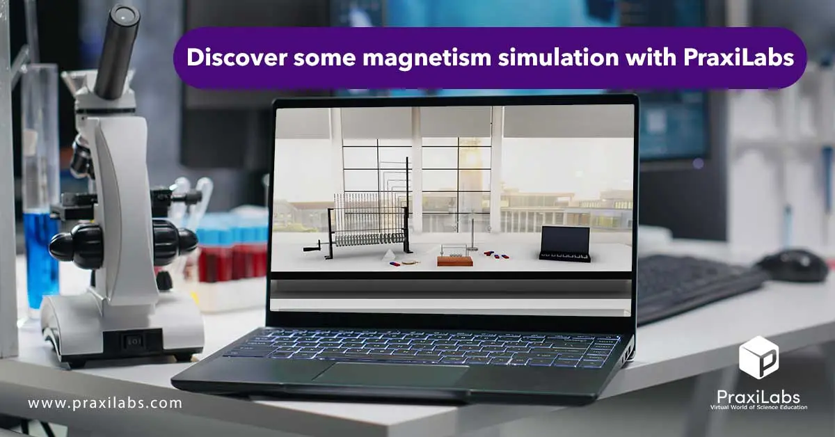Discover some magnetism simulation with PraxiLabs