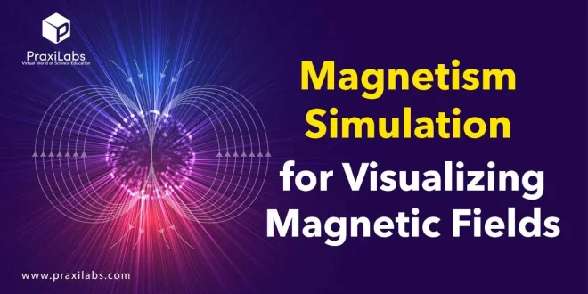 Magnetism Simulation for Visualizing Magnetic Fields