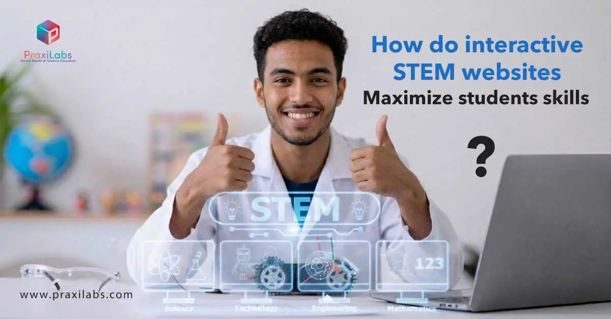 How do interactive stem websites maximize students’ skills?