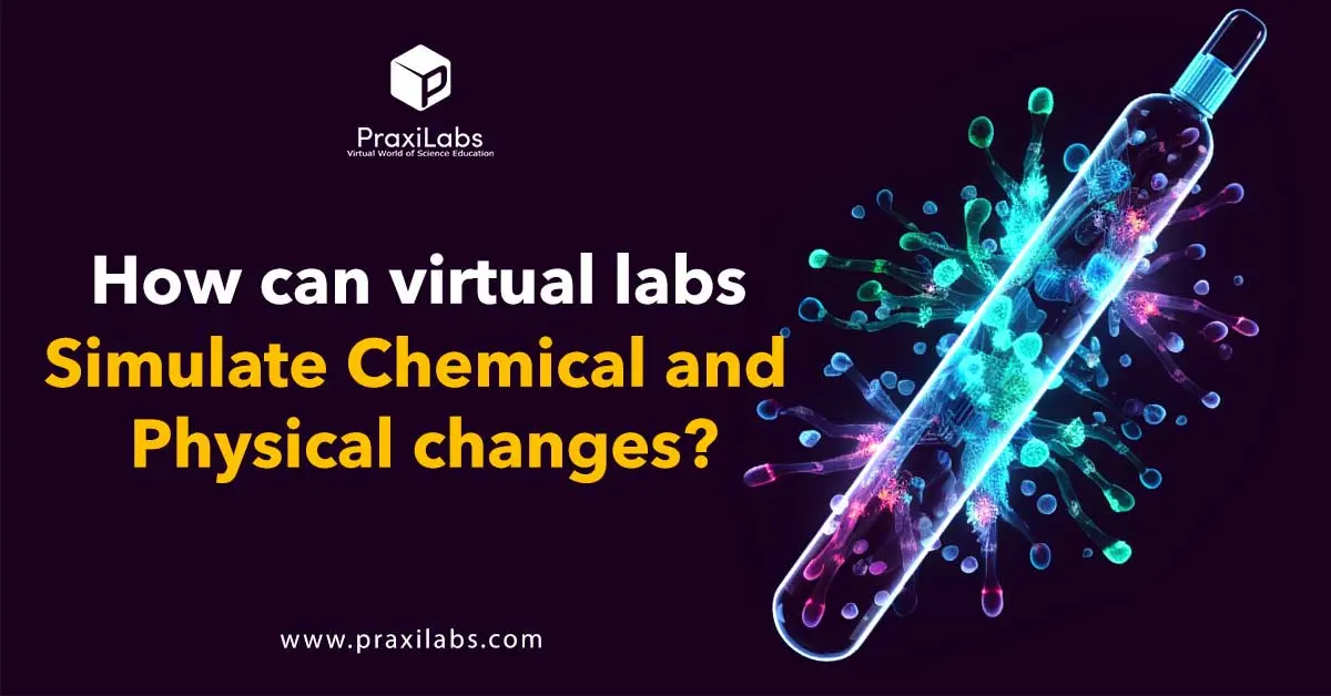 How can virtual labs simulate chemical and physical changes?
