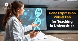 Gene Expression Virtual Lab for Teaching in Universities