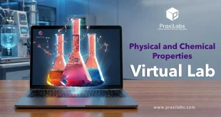 Physical and Chemical Properties Virtual Lab