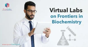Virtual Labs on Frontiers in Biochemistry